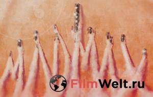 �������� ����: ������ ������ 2015 ������ ���� �� ������