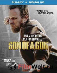     Son of a Gun (2013)  