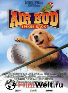   :  () - Air Bud: Spikes Back   