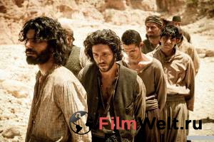 ���� 2014 ������ ���� �� ������