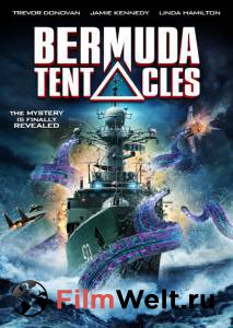      () / Bermuda Tentacles / 2014 