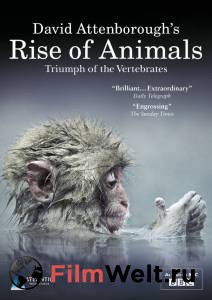    :   () / Rise of Animals: Triumph of the Vertebrates / 2013 (1 )   