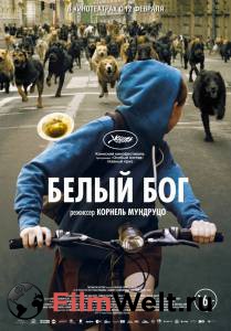 �������� ������ ����� ����� ��� Fehr isten