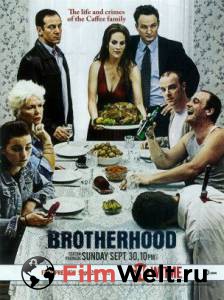   ( 2006  2008) - Brotherhood - (2006 (3 ))   