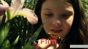 ������ ���� � ������ ������