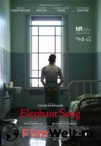     / Elephant Song / [2014]  