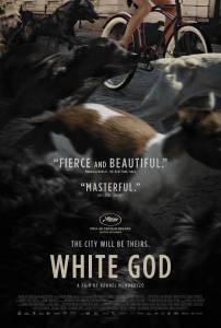 ������ ���� ����� ��� �������� ���������