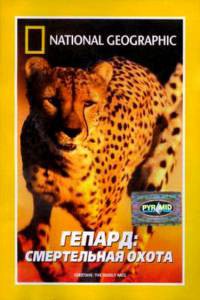    :   () Cheetahs: The Deadly Race (2002) 