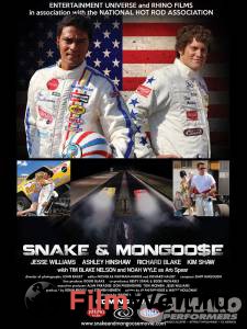      / Snake and Mongoose / 2013 