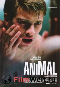   Animal (2005) 