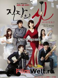 ������ ���� �������� ����� (������) 2013 �������� ���������