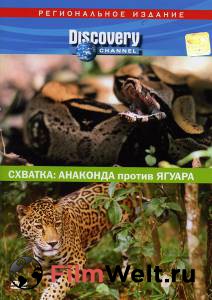 Кино онлайн Discovery. Схватка: Анаконда против ягуара (видео) Discovery: Animal Face-Off. Anaconda vs. Jaguar смотреть бесплатно Кино онлайн Discovery. Схватка: Анаконда против ягуара (видео) Discovery: Animal Face-Off. Anaconda vs. Jaguar смотреть бесплатно