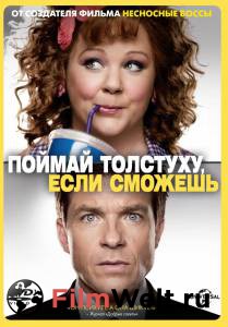    ,   / Identity Thief 