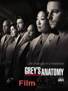   ( 2005  ...) Grey's Anatomy [2005 (16 )]    