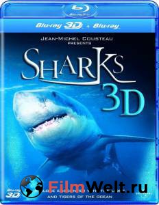   3D:    - Sharks 3D: Kings of the Ocean - 2013   