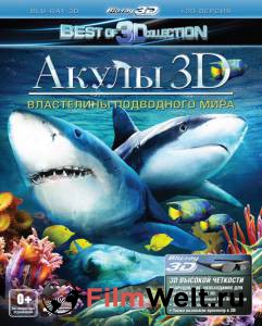    3D:    Sharks 3D: Kings of the Ocean  