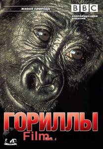   BBC:  () / Wildlife Special: Gorillas / (2002) 