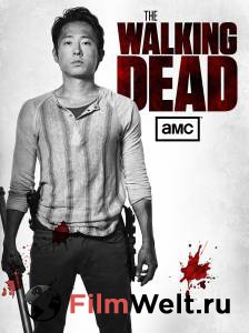    ( 2010  ...) / The Walking Dead   