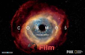   :    (-) / Cosmos: A Spacetime Odyssey / (2014 (1 )) 