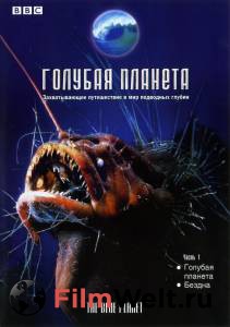 Смотреть интересный онлайн фильм BBC: Голубая планета (мини-сериал) / 2001 (1 сезон) Смотреть интересный онлайн фильм BBC: Голубая планета (мини-сериал) / 2001 (1 сезон)