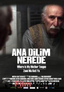     a - Ana dilim nerede  