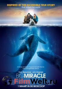    / Big Miracle   