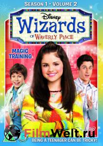       ( 2007  2012) / Wizards of Waverly Place online