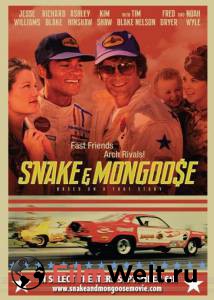     / Snake and Mongoose   