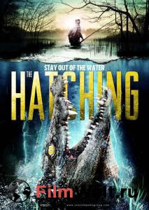     The Hatching / The Hatching / [2014]