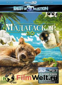    3D - Madagascar 3D - 2013  