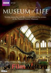   Museum of Life () 