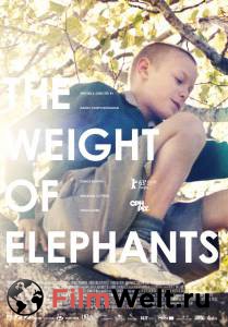     - The Weight of Elephants