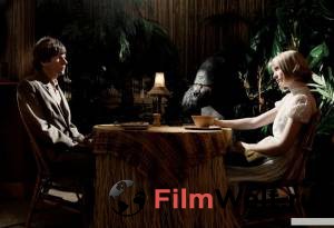 �������� ������ ������� - 2013