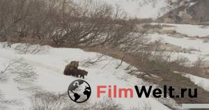     Terre des ours 2013   HD