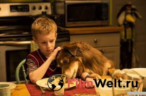       / The Young and Prodigious T.S. Spivet