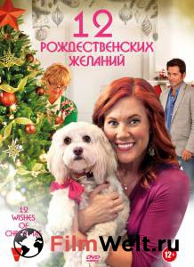 ����� ������ 12 �������������� ������� (��) / 12 Wishes of Christmas / 2011 ��������� � HD