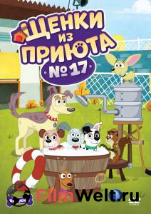       17 ( 2010  ...) - Pound Puppies - (2010 (3 ))