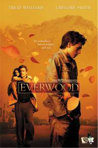     ( 2002  2006) Everwood [2002 (4 )]  