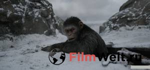  :  / War for the Planet of the Apes / 2017   
