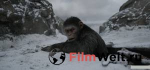    :  - War for the Planet of the Apes - (2017)  