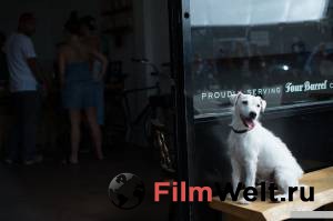 онлайн кадр Его собачье дело 2017 онлайн кадр из фильма