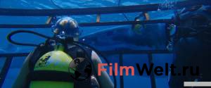 Онлайн кино Синяя бездна 47 Meters Down (2017) смотреть