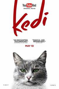 Кино Город кошек / Kedi смотреть онлайн Кино Город кошек / Kedi смотреть онлайн
