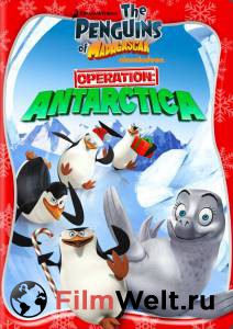      ( 2008  ...) - The Penguins of Madagascar - 2008 (3 )   HD