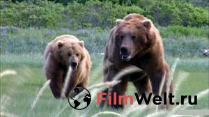     () Grizzly Man 2005 