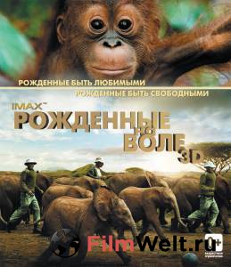 ���� ��������� �� ���� / Born to Be Wild ������