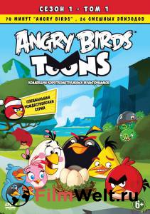     () Angry Birds Toons! 2013 (2 )