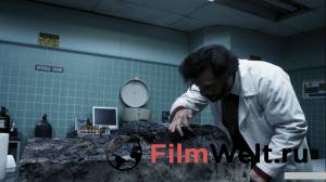 �������� ������ ������