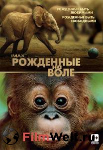 �������� ������������� ������ ����� ��������� �� ���� (2011)