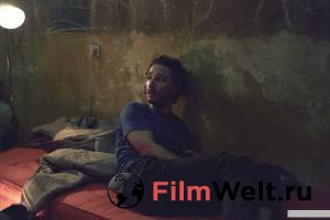 ������� ������� 2013 ������ ���� �� ������